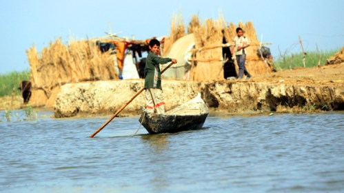 An Iraqi boy paddles a boat in the marsh