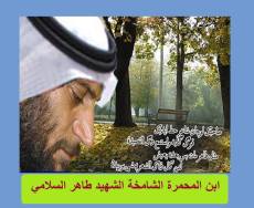 1016425_499338730149908_494221812_n