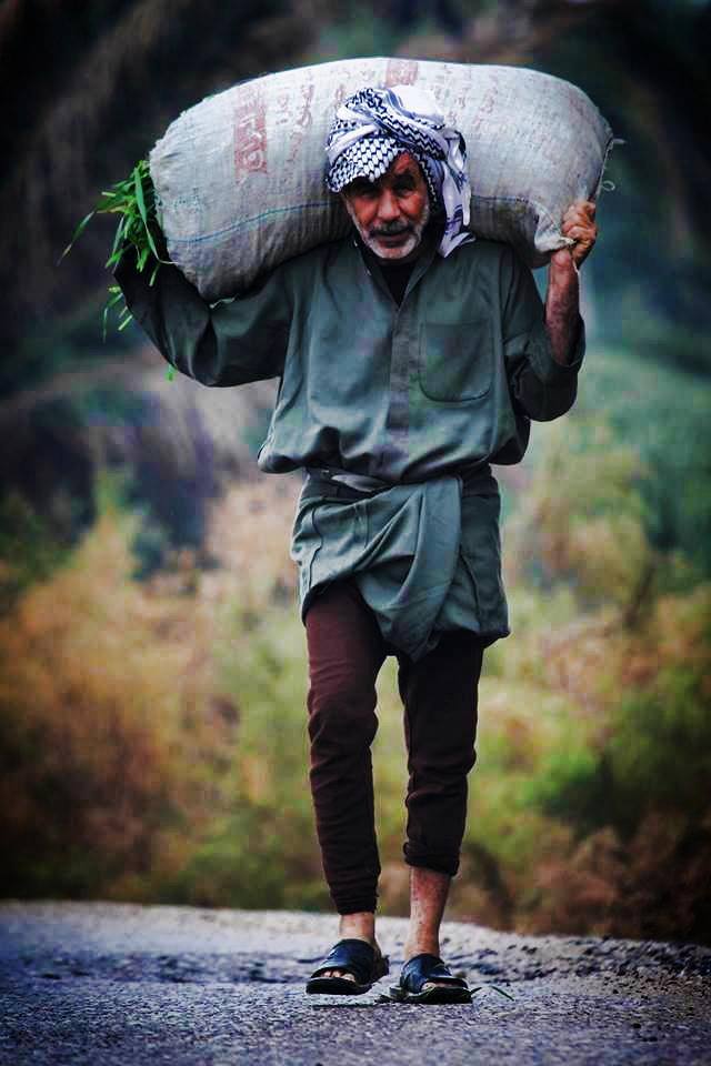 934917_534953376561837_149502838_n