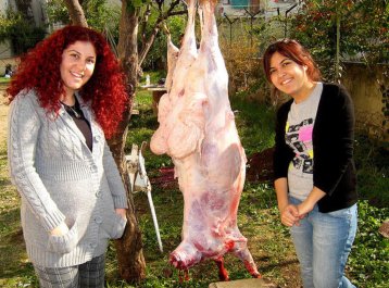 qurban_bayram_614x455_9sp