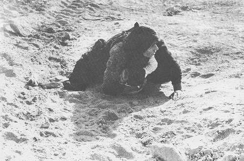 أم احوازية تحاول أن تحمي طفلها من شظايا القذائف بجسدها أيام الحرب الإيرانية العراقية(1980-1988).