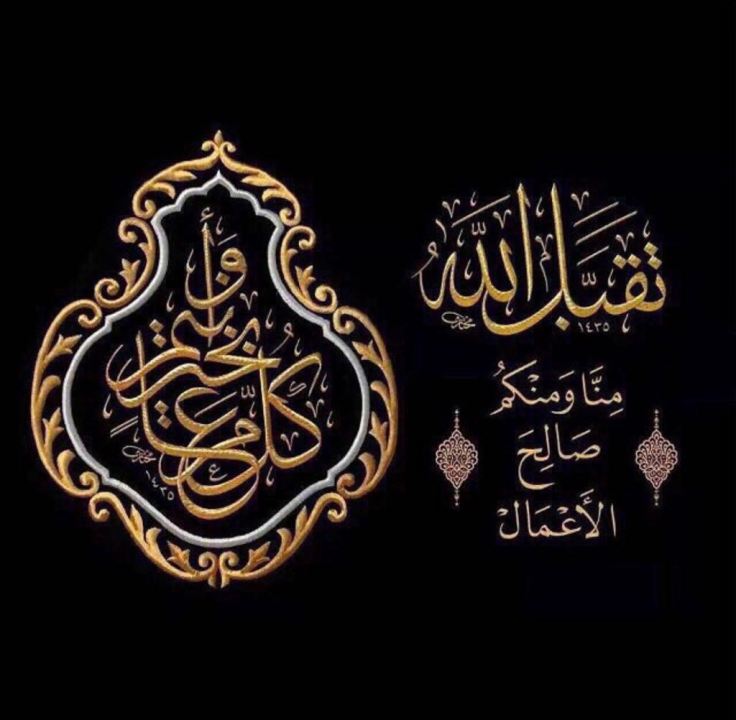 3393002a-b528-48d3-b396-616db8497012